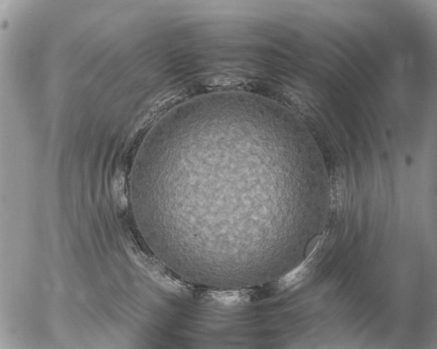 X0000057100187200509161704