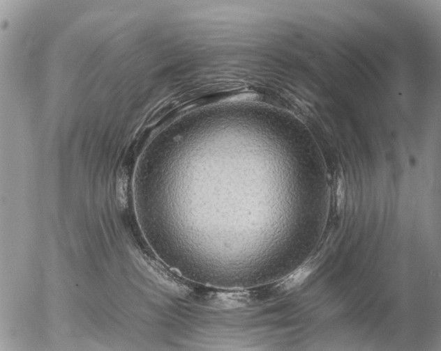 X0000057100188200509161704