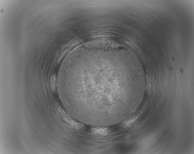 X0000057100189200509161704