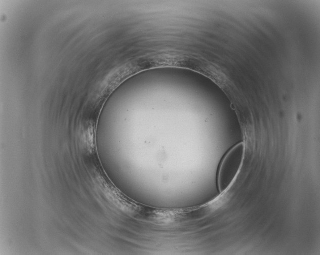 X0000057100190200509161704