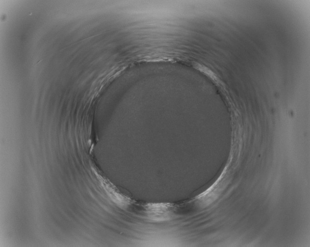 X0000057100192200509161704