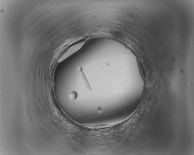 X0000057100193200509161703