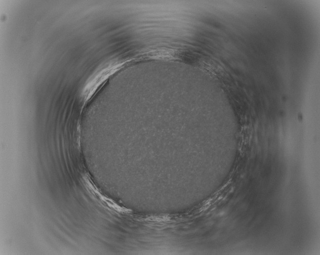 X0000057100194200509161703