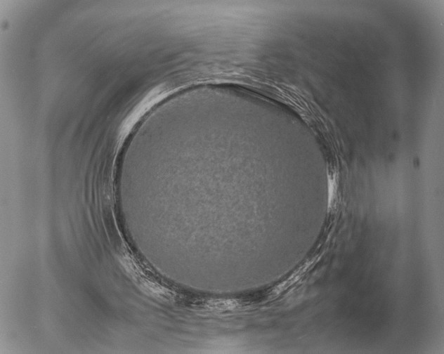 X0000057100195200509161703