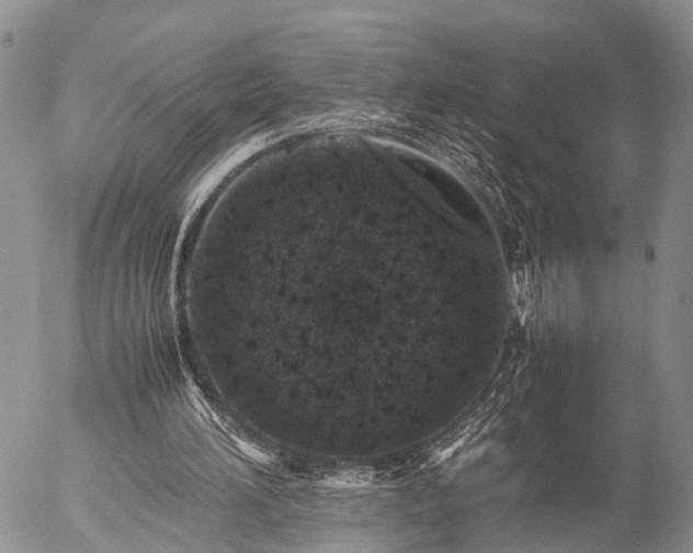 X0000057100196200509161703