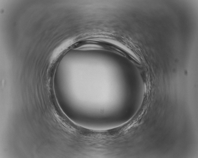 X0000057100197200509161703