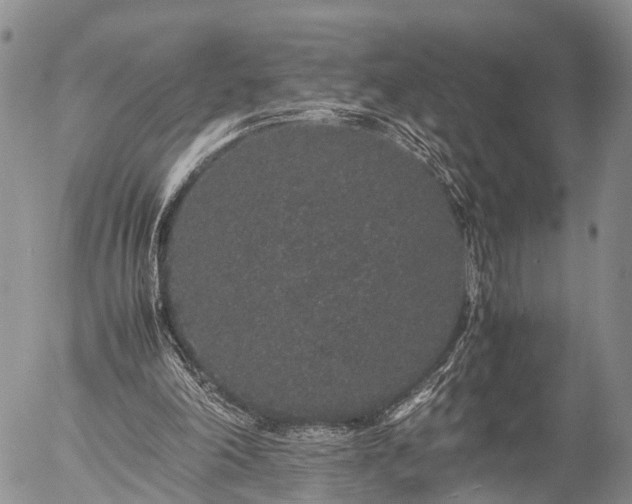 X0000057100198200509161703