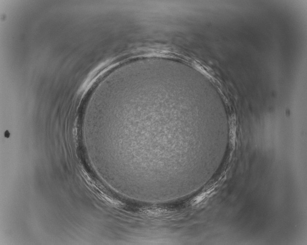 X0000057100199200509161703