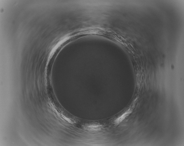 X0000057100200200509161703