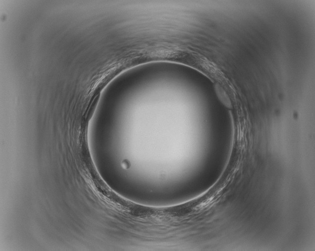 X0000057100201200509161703