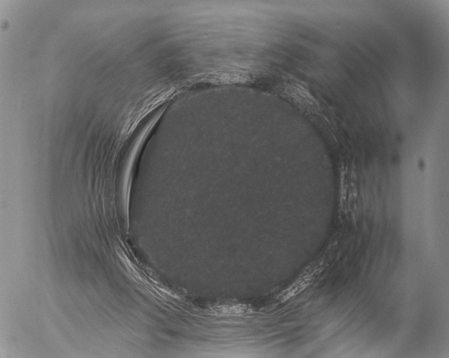 X0000057100202200509161703