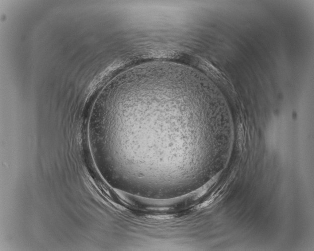 X0000057100203200509161703