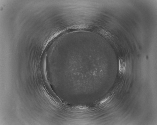 X0000057100204200509161703