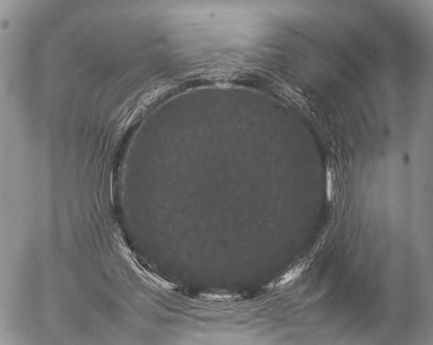 X0000057100205200509161703