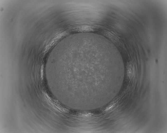 X0000057100206200509161703