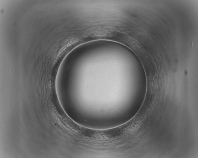 X0000057100207200509161703