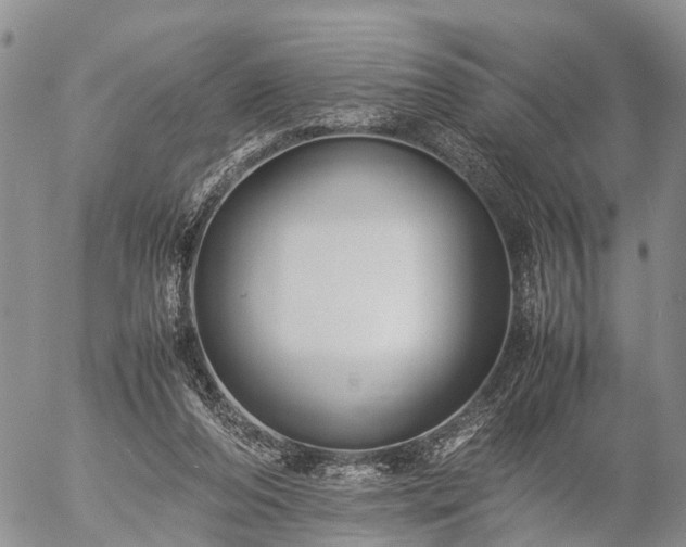 X0000057100208200509161703