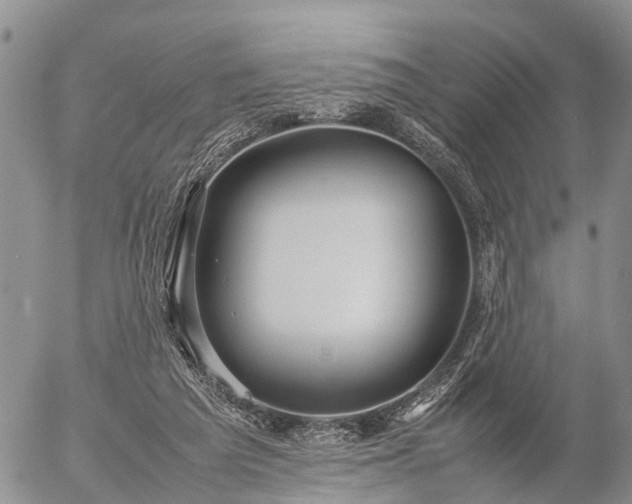 X0000057100209200509161703