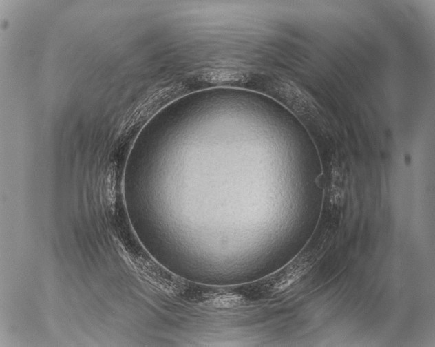 X0000057100210200509161703