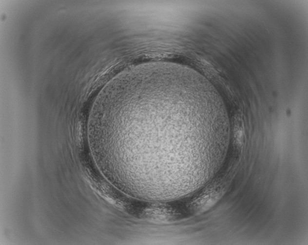 X0000057100211200509161703