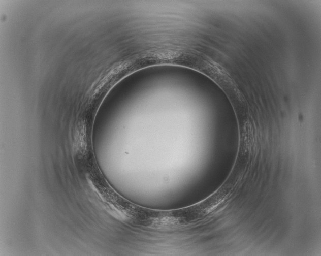 X0000057100212200509161703