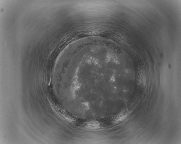 X0000057100214200509161703