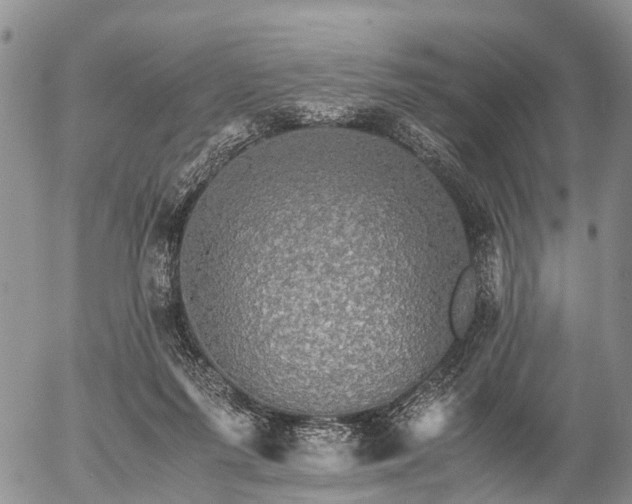 X0000057100215200509161703