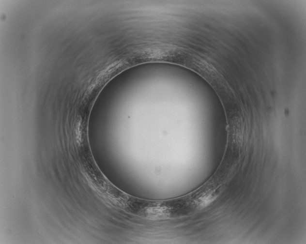 X0000057100216200509161703