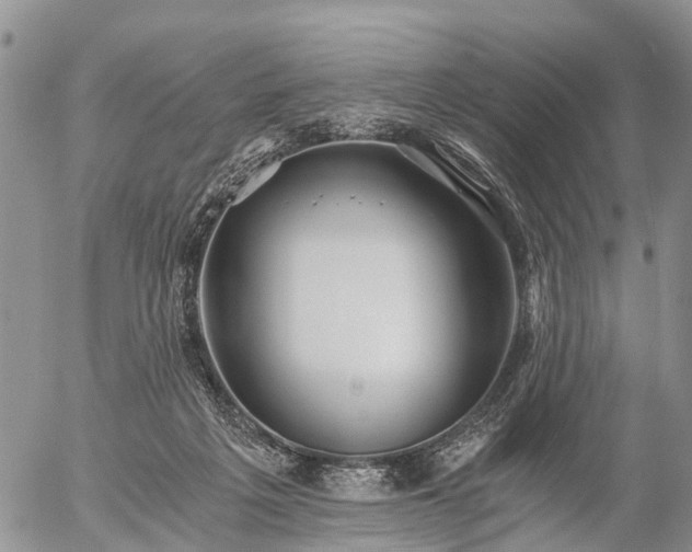 X0000057100217200509161703