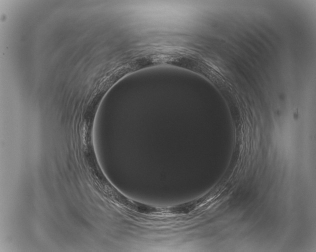 X0000057100219200509161703