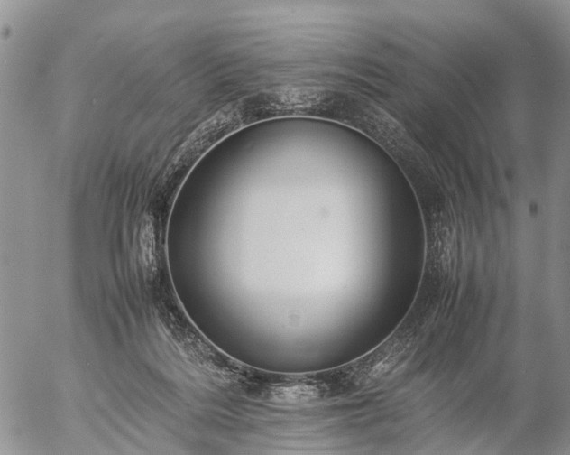 X0000057100220200509161703