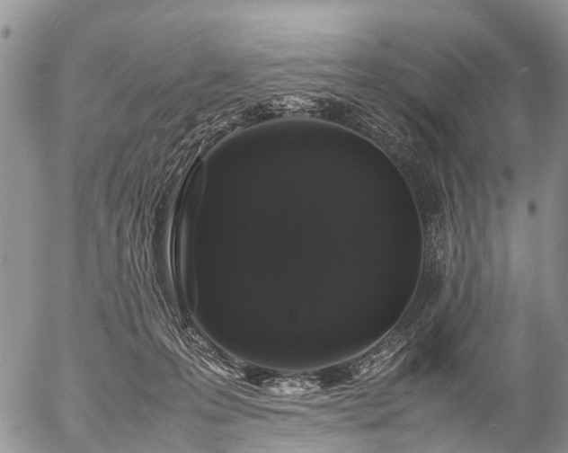 X0000057100223200509161703