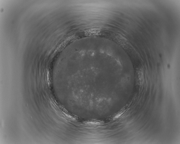 X0000057100224200509161703