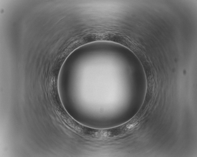 X0000057100225200509161703