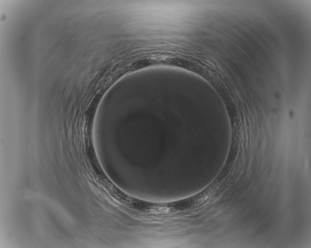 X0000057100227200509161703