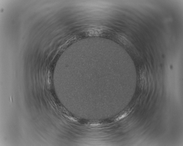 X0000057100228200509161703