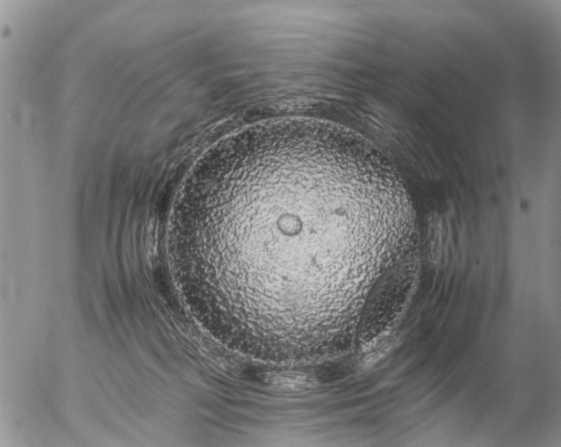 X0000057100230200509161703