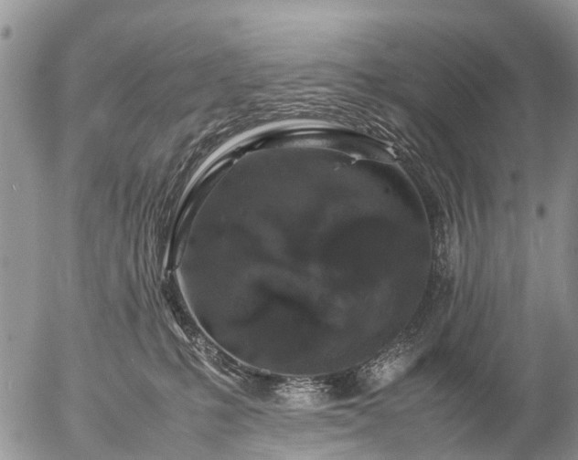 X0000057100231200509161703