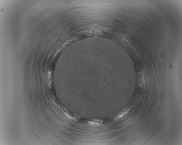 X0000057100232200509161703