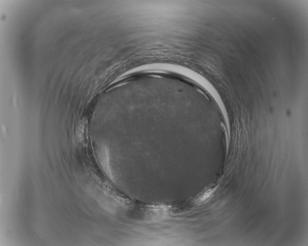 X0000057100233200509161703