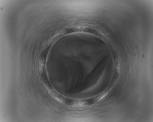 X0000057100235200509161703