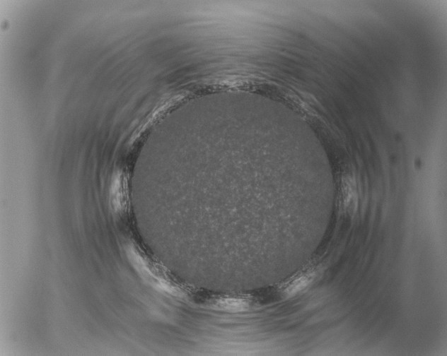 X0000057100236200509161703