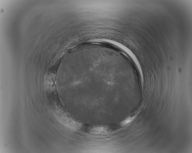 X0000057100237200509161702