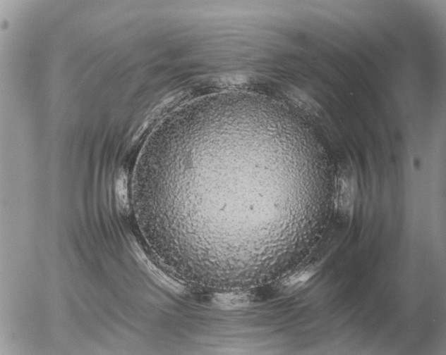 X0000057100238200509161702