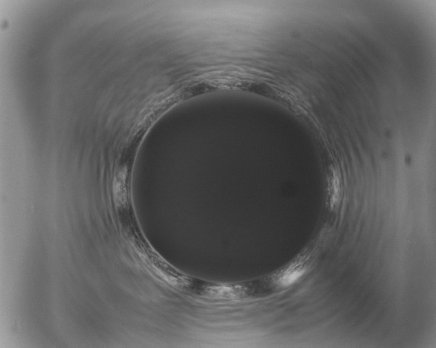 X0000057100239200509161702