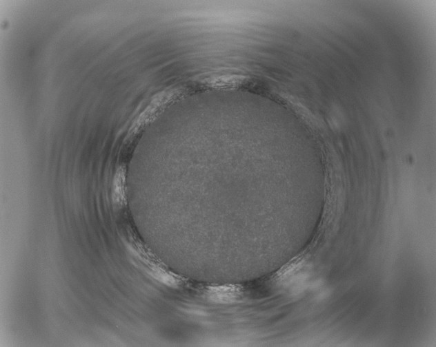 X0000057100240200509161702