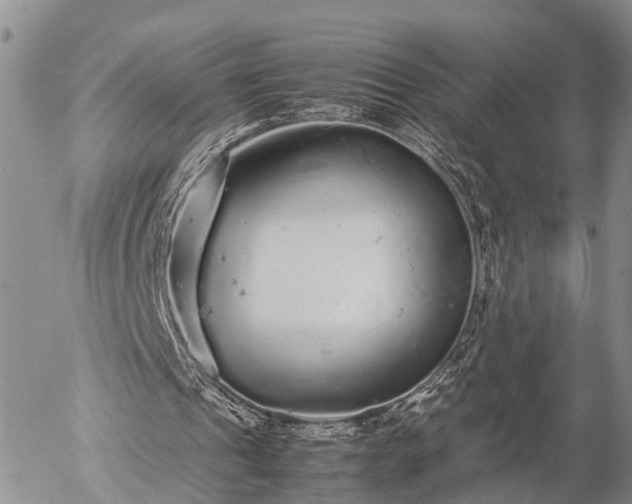 X0000057100241200509161702