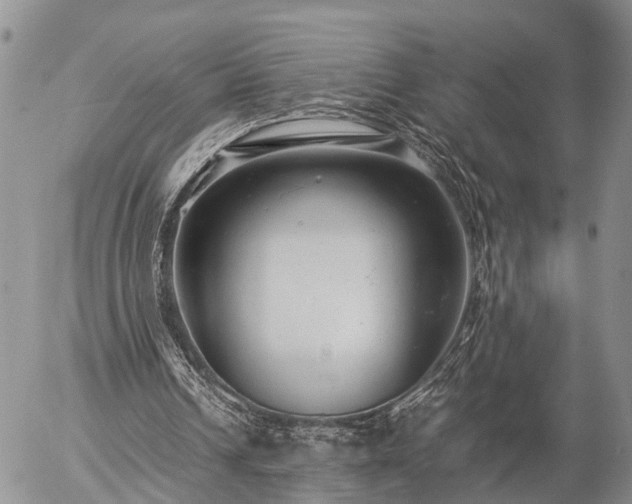 X0000057100242200509161702