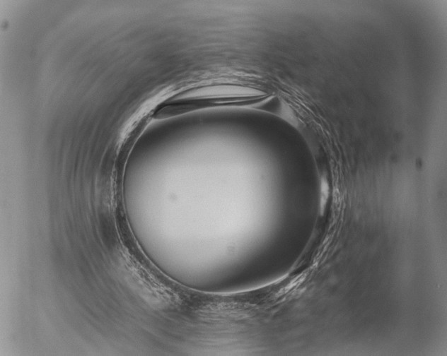 X0000057100244200509161702