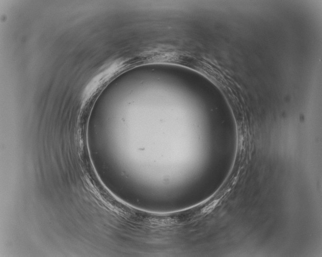 X0000057100245200509161702